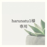 harunatu1様オーダー品