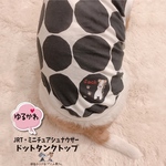 JRT★シュナウザー★ドットタンク