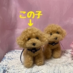羊毛フェルト　トイプードル