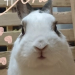 アトム🐰とあぽろ様専用ページ