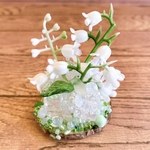 鉢植えきらきら鈴蘭（ミニチュア）
