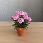 カーネーション　3