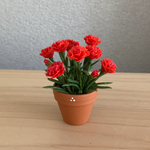 カーネーション　5