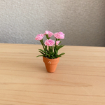 カーネーション　7  ちびっこ鉢