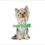 oes-rui様専用