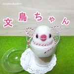羊毛フェルト　白文鳥ちゃん