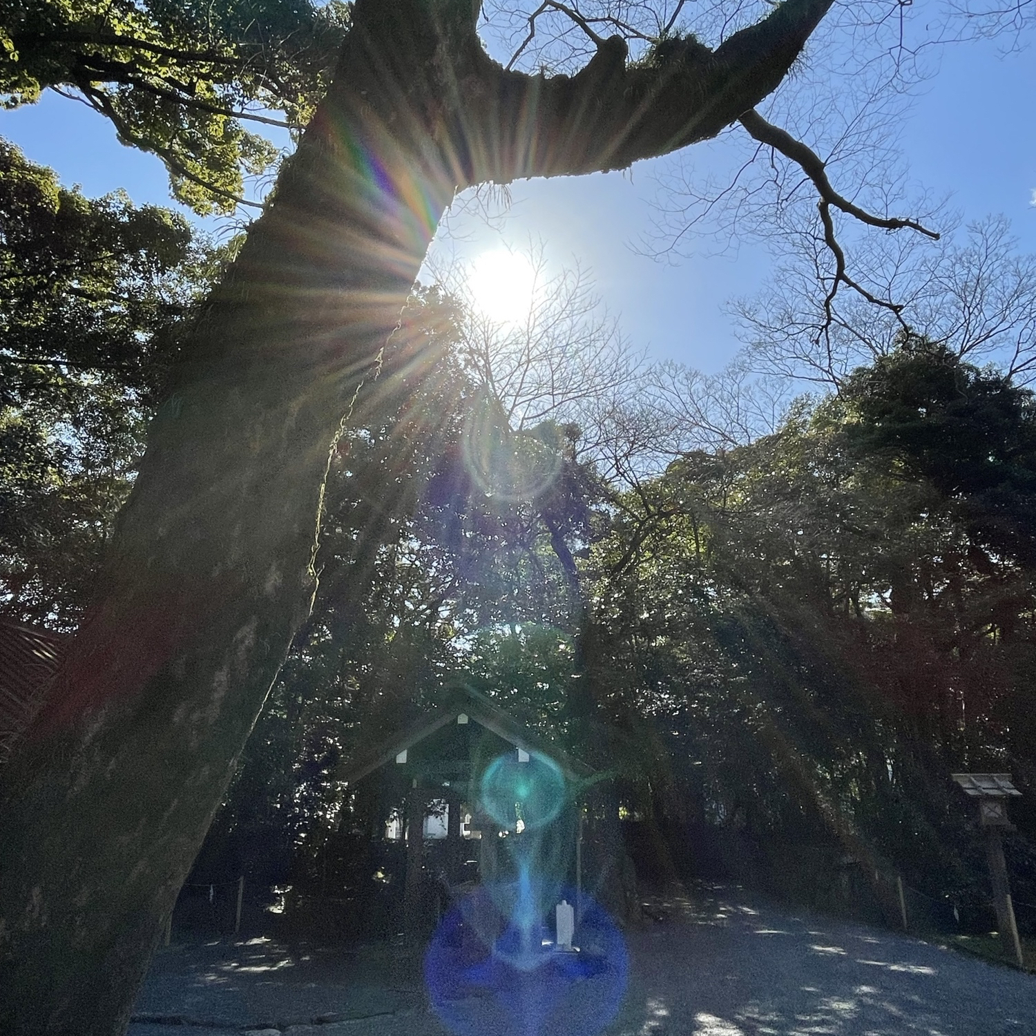 神聖幾何学フラーレン 認定プレミアムクリエイター - ganesha ∞ 888'S
