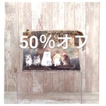 SALE〈50%オフ〉ストリートキャット　テントポーチふつう