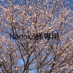 ✨ペールオレンジレムリアンシードクリスタルポイント✨ペンダントトップ
