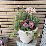 母の日にも♡ いい香りのする寄せ植え