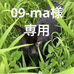 09-ma様　専用