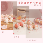 *かめろんぱん壁紙 (春の3種類セット)*