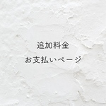 追加料金（300円）お支払いページ