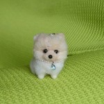 ポメラニアン クリーム パピー ストラップ 羊毛フェルト