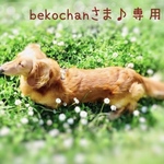 bekochanさま♪専用