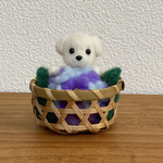 マルチーズちゃんと紫陽花