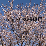 🌿天然石浄化セット🌿　ローズクォーツ💖　　空間浄化