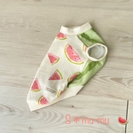 再販🐶犬服【スイカ柄タンク🍉グリーン】