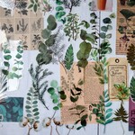 【グリーンB】🌿フレークシール60pics・海外シール