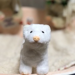 ベビーフェレットのサンくん