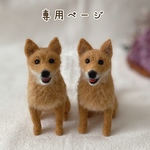 【専用ページ】愛犬うちの子マスコット　オーダー　羊毛フェルト