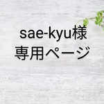 sae-kyu様専用ページ