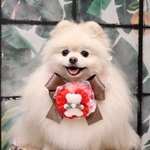 母の日🌹カーネーションアレンジメント💖クマちゃんチョーカー🧸