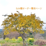 なみ様オーダー専用ページ