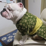 浴衣👘イングリッシュブルサイズ男の子