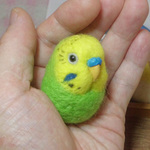 マグネット　/　セキセイインコ　グリーンオパーリン　羊毛フェルト　小鳥マカロン(？)タイプ