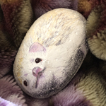 StoneHedge  アズくん🦔