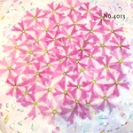 ♡new♡作家様必見♡ 人気のバーベナがいっぱい♡ 押し花セット
