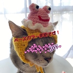 カエルちゃん.梅雨.6月.ニット帽.猫.被り物.コスプレ.毛糸