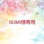 GUMI様専用.*･ﾟキーホルダー