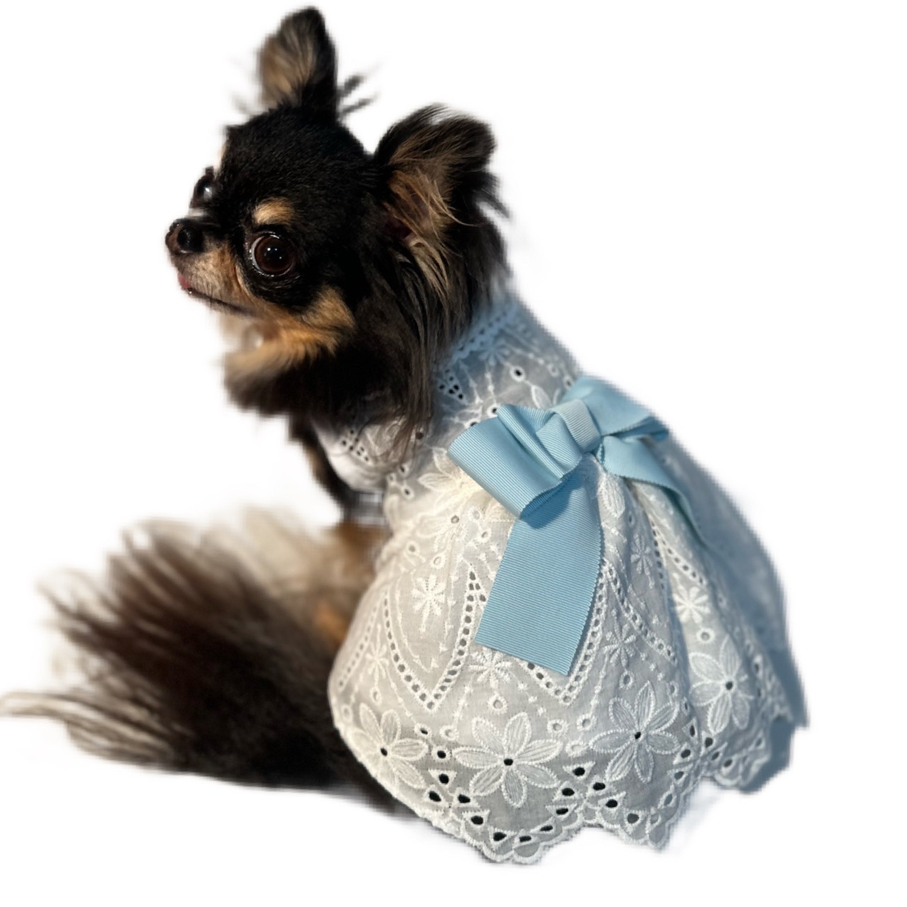 重ね着風さわやかワンピ/XXS〜M/犬服/犬服ハンドメイド