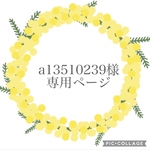 a13510239様専用ページ