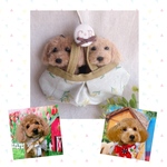 coron…様専用♡数量限定new！ミモザのグラニーバッグ【受注制作】おでかけわんこ(身体つき毛糸わんこ)『うちの子オーダー』(mii._.wool)