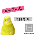 オーダー専用ページ