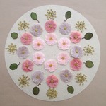 押し花セットJ＜組み立ての花＆レースフラワー他＞