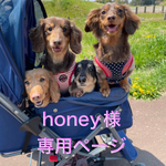 🐶🐶honey様専用ページ🐶🐶