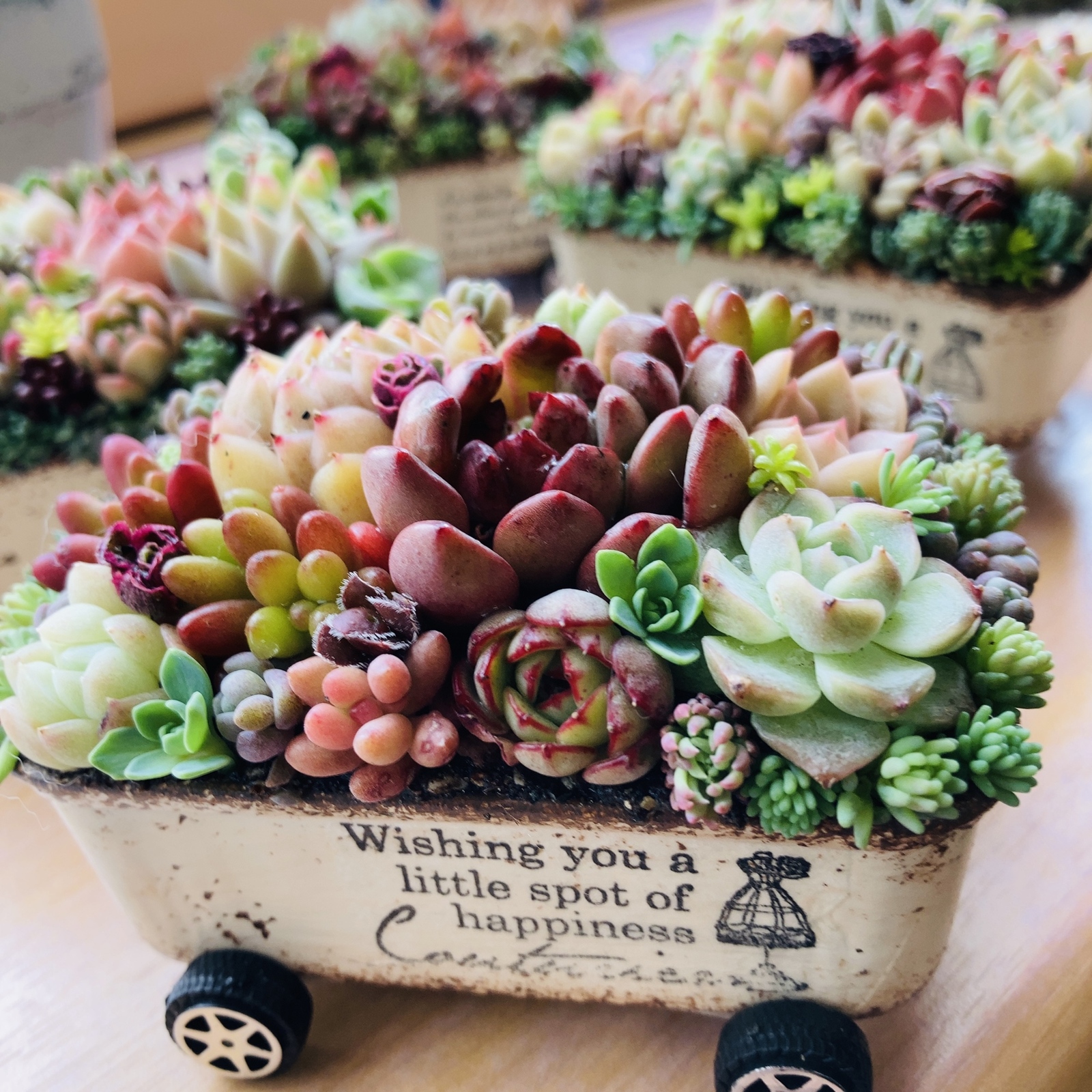 ❤️専用ページ❤️多肉植物寄せ植え❤️ オーダー承ります 多肉植物寄せ植え そのまま飾れる ちま寄せ