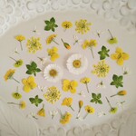 押し花素材160　黄色い小花のミックスセット　花材　イエロー　白　グリーン　