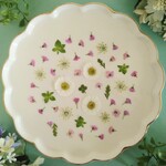 押し花素材161　ミニサイズの小花のセット　花材　ピンク色　白　グリーン　