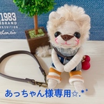 あっちゃん様専用✩.*˚ソックライオン