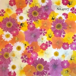 ♡new♡作家様必見♡押し花MIXセット♡押し花セット