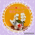 KURO★にゃん様　オーダーページ　