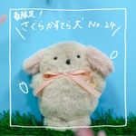 【春限定】さくらかすてら犬No.24