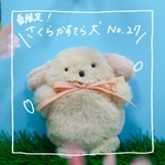 【春限定】さくらかすてら犬No.27