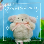 【春限定】さくらかすてら犬No.30