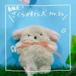 【春限定】さくらかすてら犬No.32